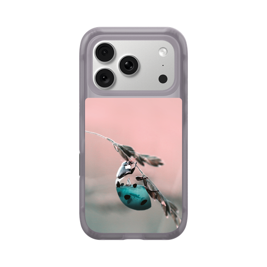 Aquanimal Ladybug