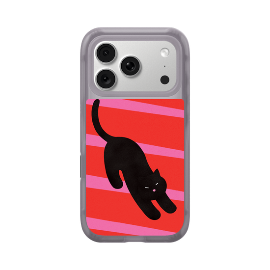 A Stretching cat