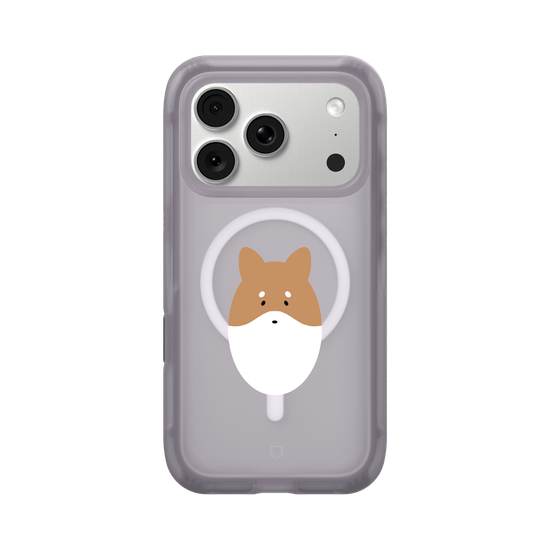 Animals - Shiba Inu Dog