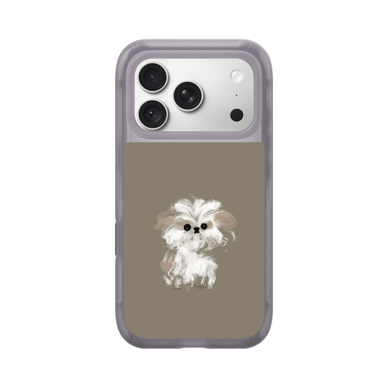 A little Shih Tzu