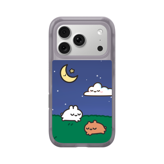 a peaceful sleepy night