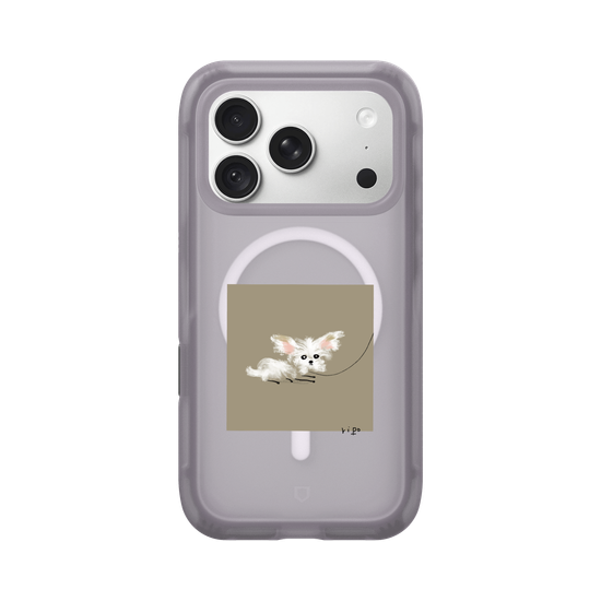 small white dog
