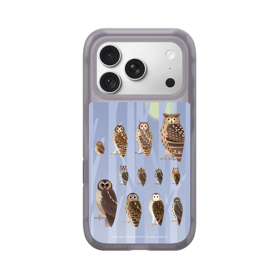 Miniature Field Guide-Owls(Color)