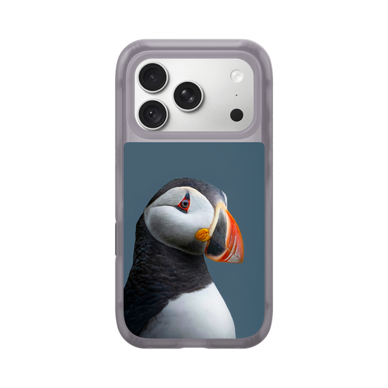 Puffin