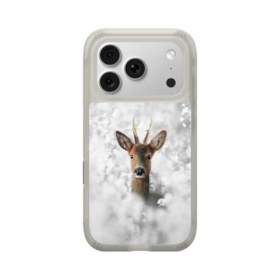 White Roe Deer