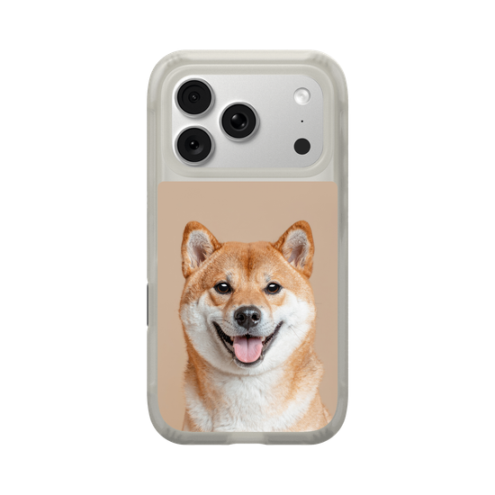 Shiba Inu