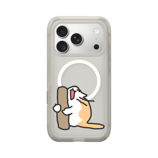 What is the cat doing?