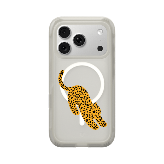 A Stretching cheetah