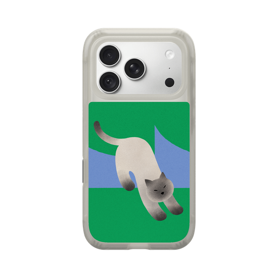 A Stretching cat
