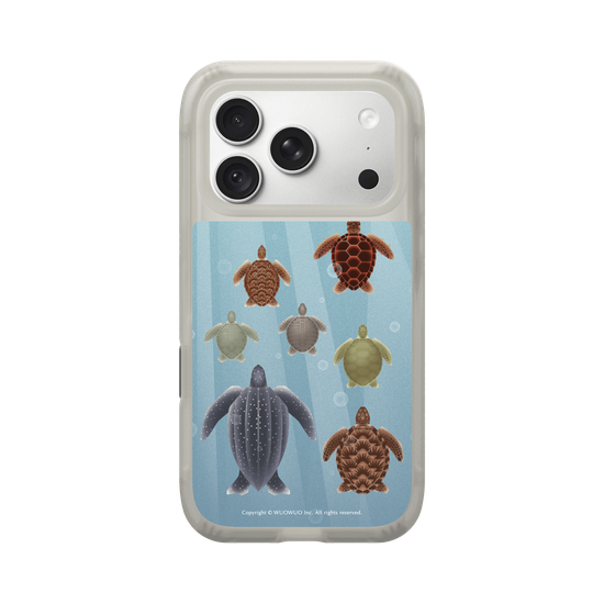 Miniature Field Guide-Sea ​​Turtle(Color)