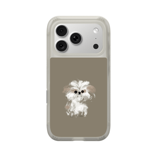 A little Shih Tzu