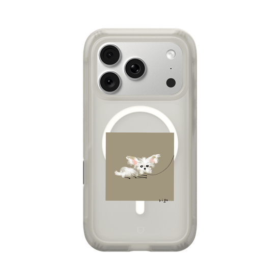 small white dog