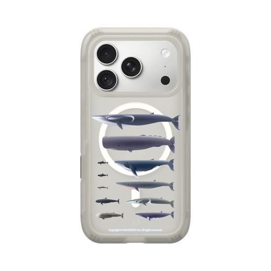 Miniature Field Guide-Whale(Clear)