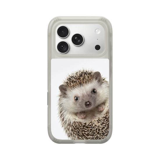 ハリネズミ