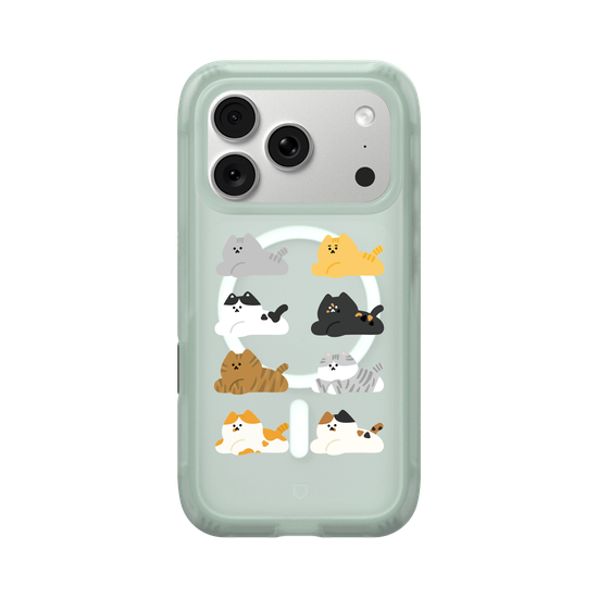 many cats 