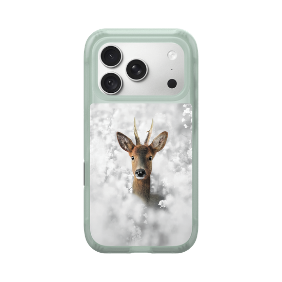 White Roe Deer