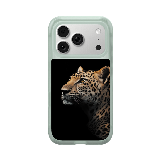 Indochinesischer leopard