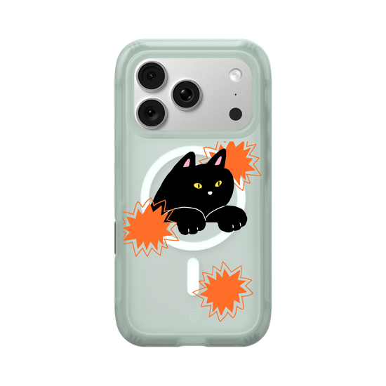 black cat