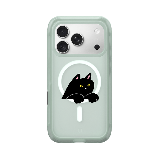 black cat