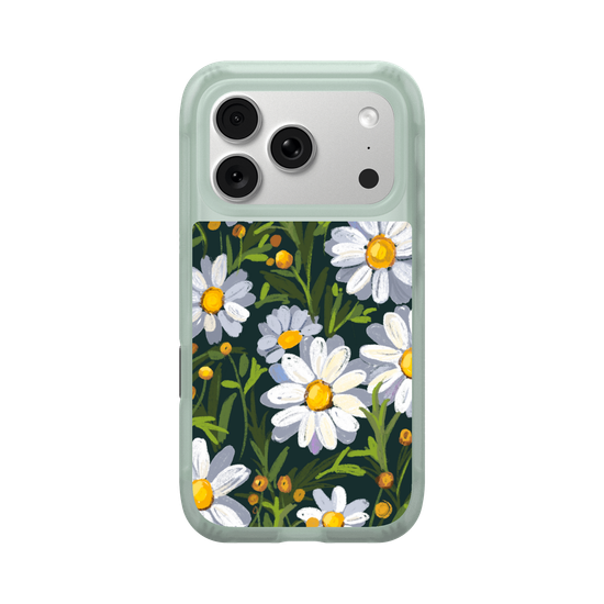 Sunny Daisy field