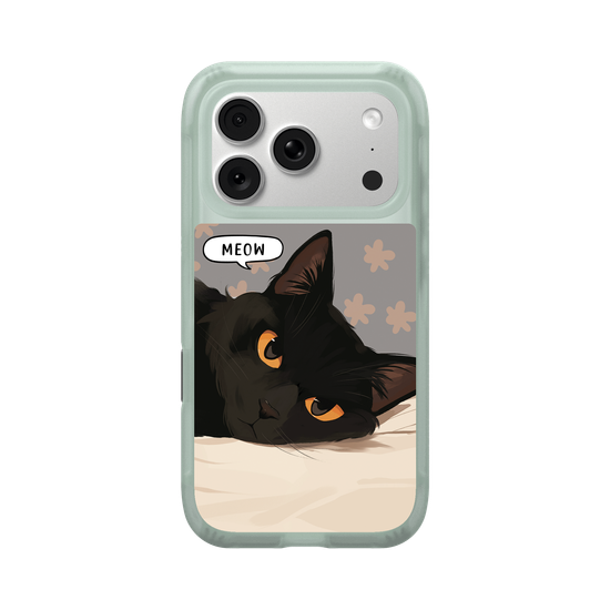 Black Cat Meow