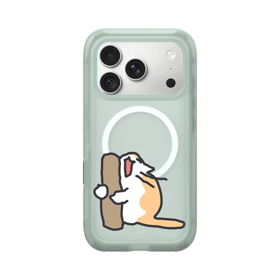 What is the cat doing?