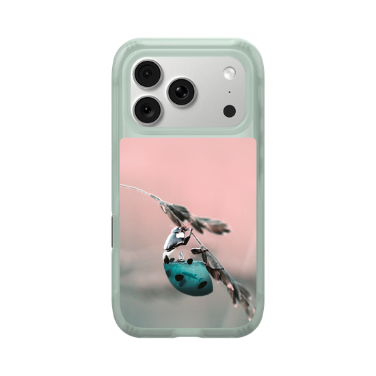Aquanimal Ladybug