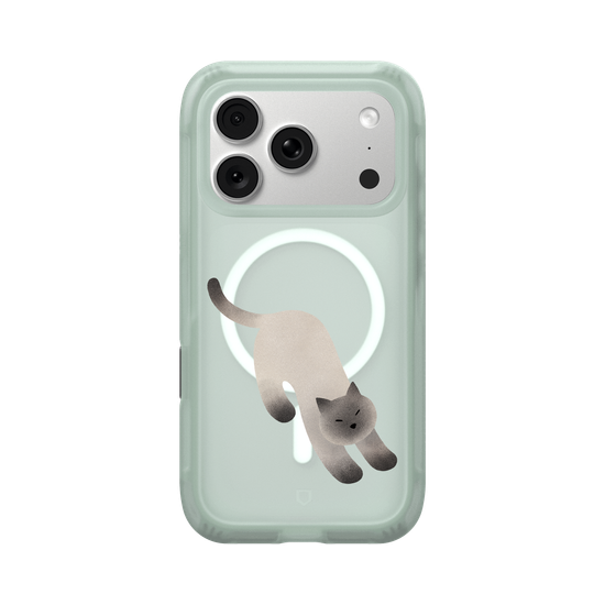 A Stretching cat