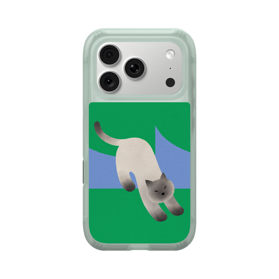 A Stretching cat