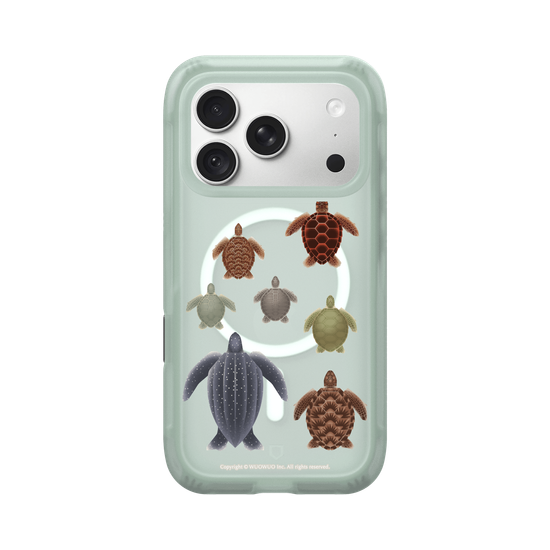 Miniature Field Guide-Sea ​​Turtle(Clear)