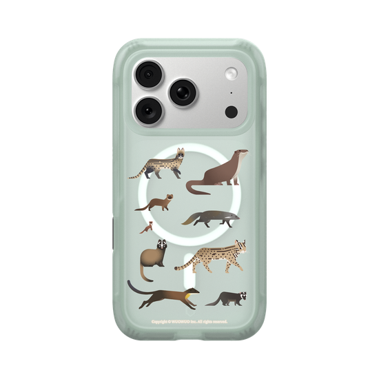 Miniature Field Guide-Carnivora(Clear)