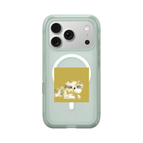 A Shih Tzu who just woke up