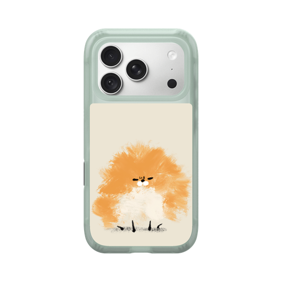 Grumpy Pomeranian