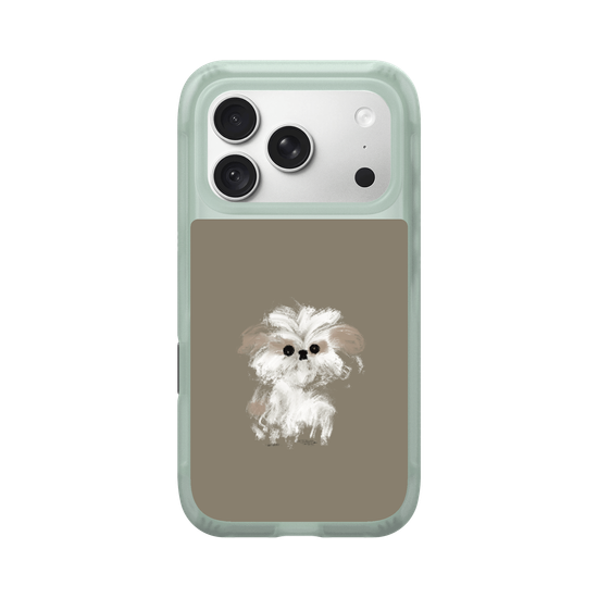 A little Shih Tzu