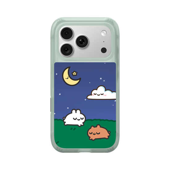 a peaceful sleepy night