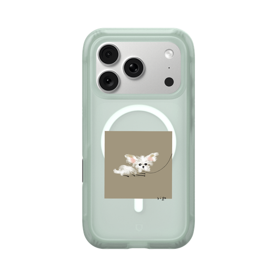 small white dog