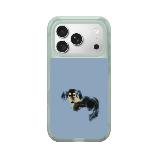 a tiny dachshund