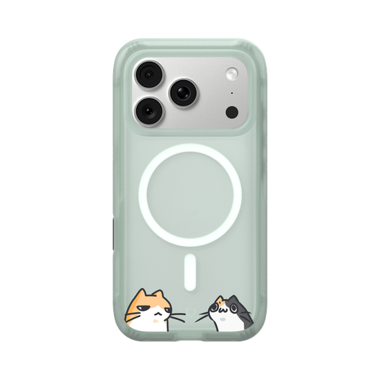 Cat looks at a cat