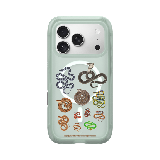 Miniature Field Guide-Snakes(Clear)