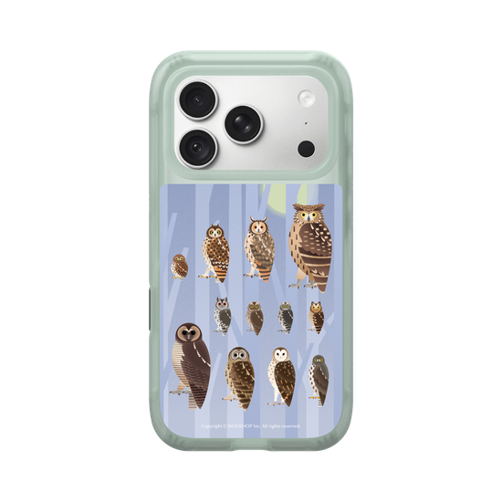 Miniature Field Guide-Owls(Color)