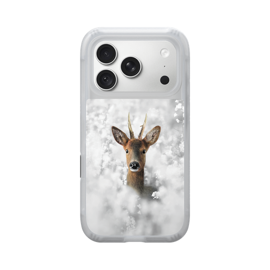 White Roe Deer