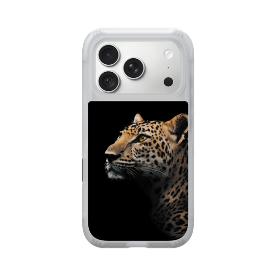 Indochinese Leopard