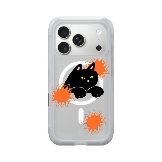black cat