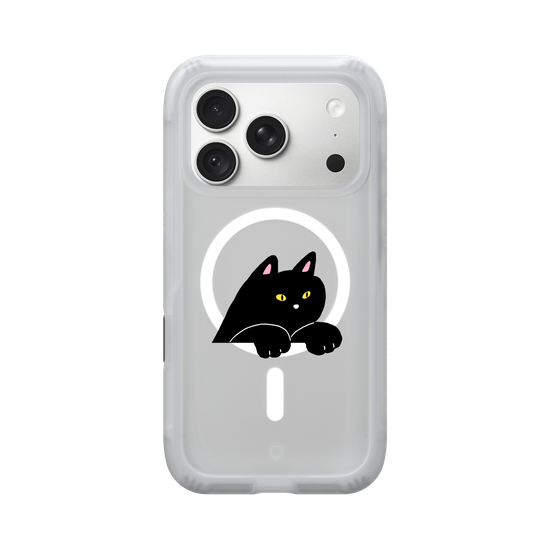 black cat