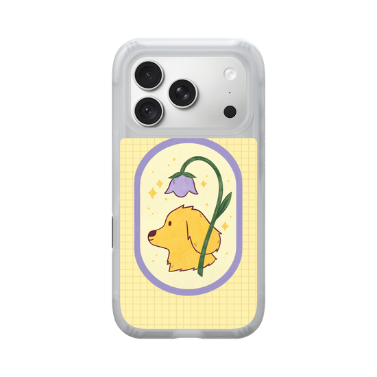 spring dog