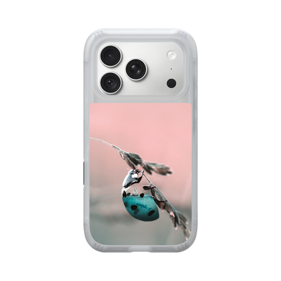 Aquanimal Ladybug