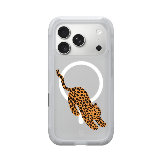 A Stretching Leopard