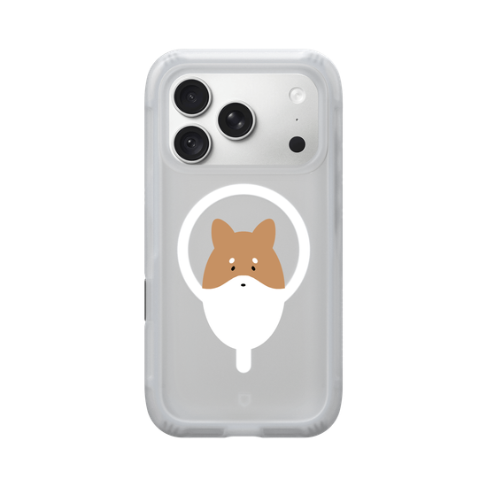 Animals - Shiba Inu Dog