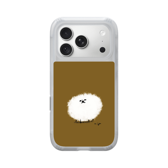 A spherical Pomeranian