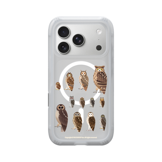 Miniature Field Guide-Owls(Clear)